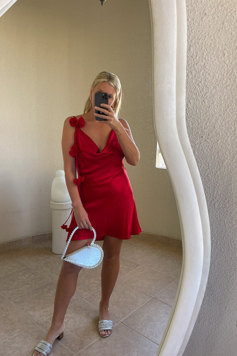 Red Rose Dress