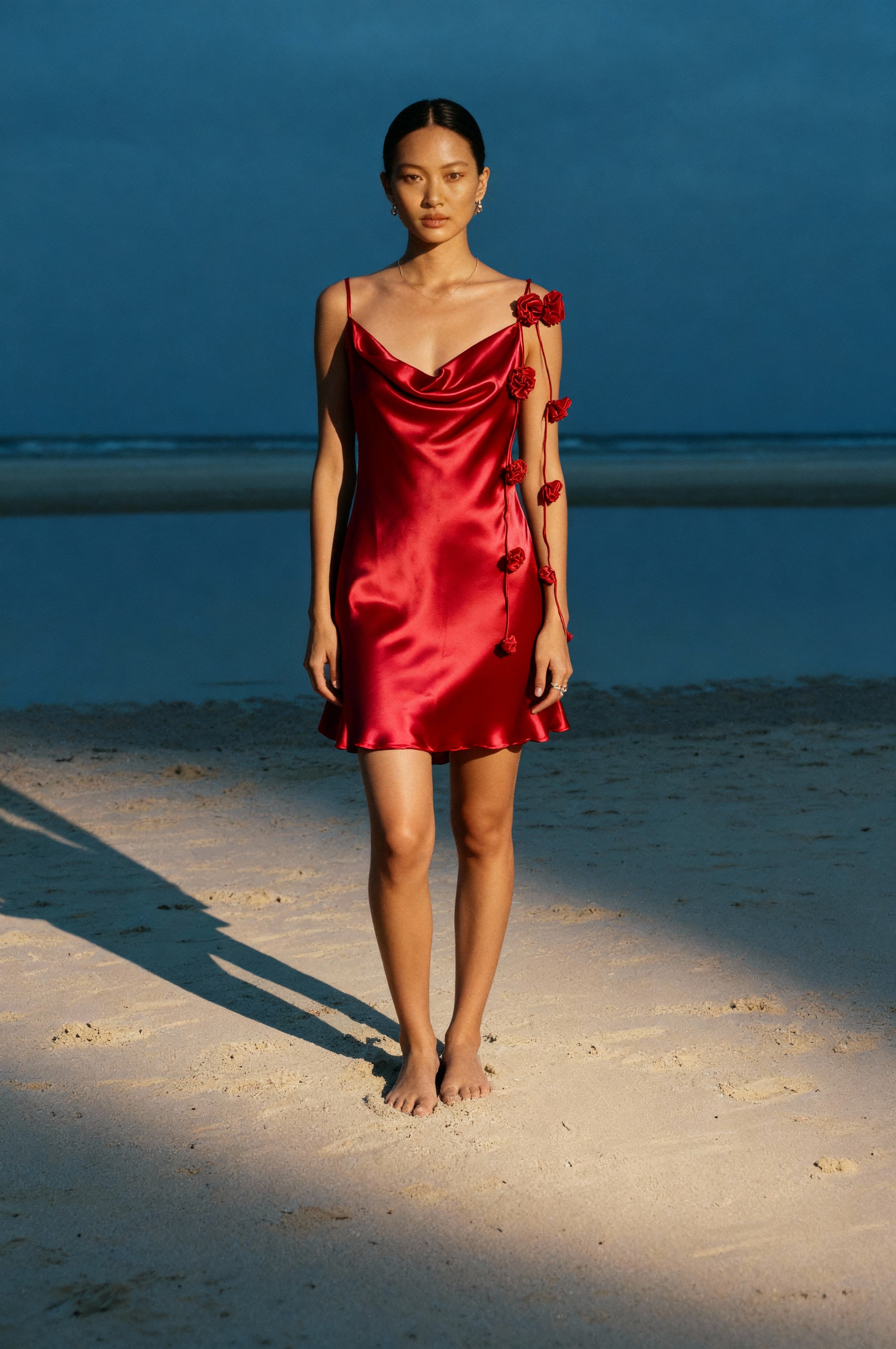 Red Rose Dress - WS Pack of 5